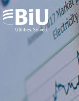 BIU case study